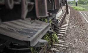 89036